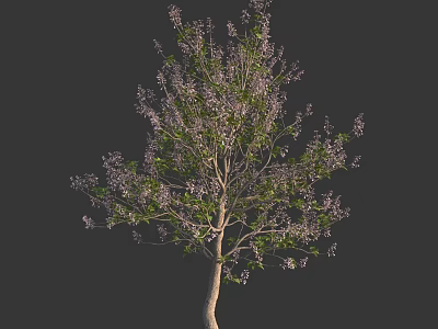 Tall Arbor Tree With Green Leaves And Purple Flowers On Dark Background 3d model
