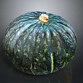 Single Blue Green Speckled Striped Pumpkin With Yellow Stem On Dark Background