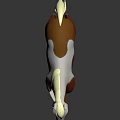 Brown And White Pony With White Mane Tail Black Ear Tag On Dark Background