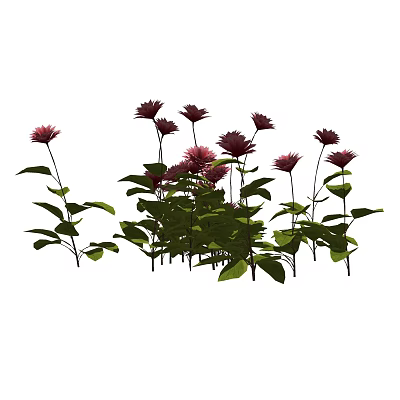 Modern flowers flowers and plants 3d model
