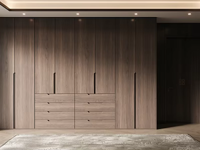 Elegant Modern Wooden Wardrobe Interior Design With Cabinet Doors And Drawers 3d model