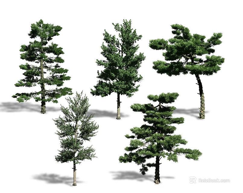 Various Green Arbor Trees With Different Crown Shapes And Natural Growth Forms 3d model 
