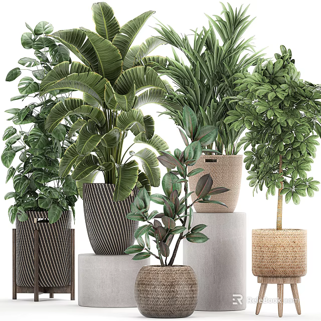 Various Green Leafy Potted Plants In Woven And Ceramic Textured Containers For Home Decor 3d model 