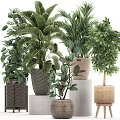 Various Green Leafy Potted Plants In Woven And Ceramic Textured Containers For Home Decor