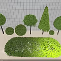 Various Shaped Trimmed Bushes With Round Cone And Oval Forms Displayed On White Surface 3d model