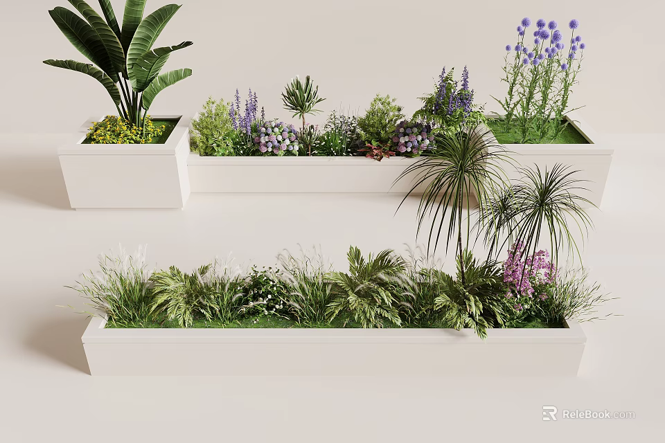 Mixed Plant Combinations in White Rectangular Planters with Flowering Herbs and Green Foliage 3d model