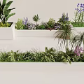 Mixed Plant Combinations in White Rectangular Planters with Flowering Herbs and Green Foliage 3d model