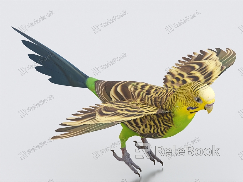 Budskin Parrot Parakeet Bird Pet Bird Macaw starling model