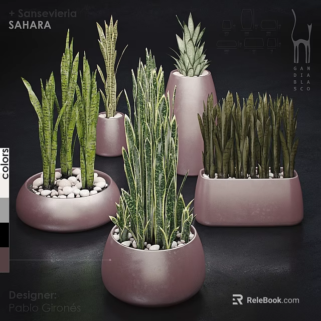 Decorative Ornament Set With Indoor Green Plants In Pastel Pink Pots And Decorative Pebbles 3d model 