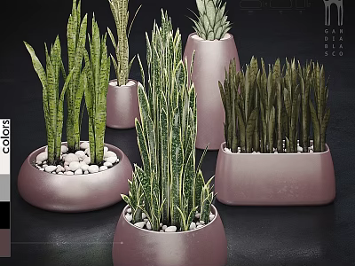 Decorative Ornament Set With Indoor Green Plants In Pastel Pink Pots And Decorative Pebbles 3d model