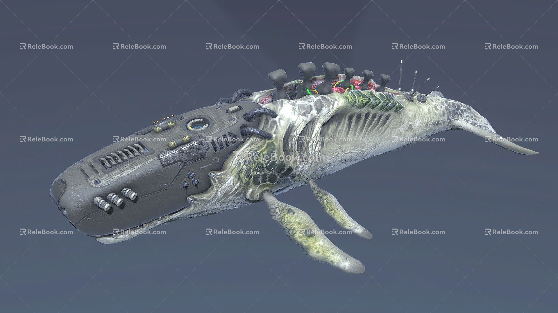 Modern whale biomechanics whale animation 3d model