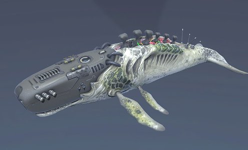 Modern whale biomechanics whale animation 3d model