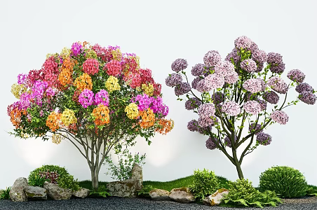 Modern Plant Flower Border Hydrangea Bougainvillea Green Plant Combination Stone 3d model