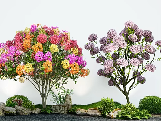 Modern Plant Flower Border Hydrangea Bougainvillea Green Plant Combination Stone 3d model