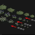 Collection of Purple Juniper Tulip and Snowdrop Flowers and Green Plants