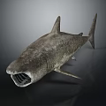 Realistic Shark 3D Model With Open Mouth And Sharp Teeth Against Dark Background 3d model