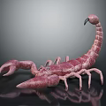 Pinkish Red Scorpion Model With Textured Body Pincers And Curled Tail On Reflective Surface