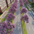 Municipal Road With Purple Flowering Trees Alongside Buildings And Street Lamps