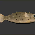Detailed Spiky Puffer Fish Figurine With Large Eyes And Textured Body Surface