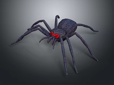 Black Spider With Red Eyes Featuring Detailed Realistic Design on Dark Background 3d model