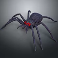 Black Spider With Red Eyes Featuring Detailed Realistic Design on Dark Background