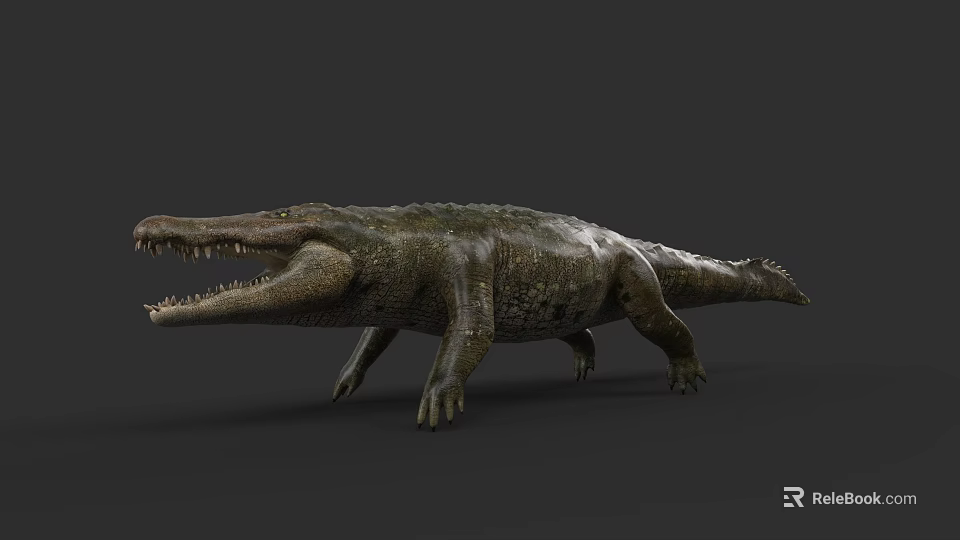 Reptile Crocodile Standing On Dark Background With Open Mouth And Scaly Skin 3d model 