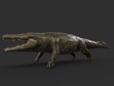Reptile Crocodile Standing On Dark Background With Open Mouth And Scaly Skin 3d model