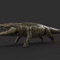 Reptile Crocodile Standing On Dark Background With Open Mouth And Scaly Skin