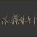Scenic Landscape View Of Group Of Dry Leafless Trees On Gray Background