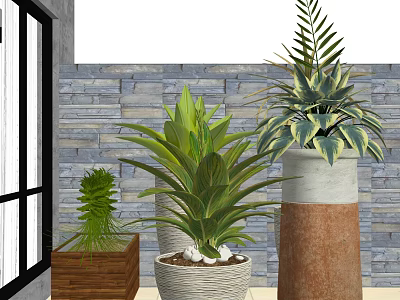 Decorative Potted Plants With Various Types And Different Material Pots For Home Garden 3d model