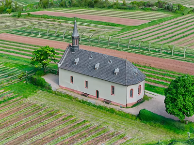 Aerial View Of Green Countryside Farmland With Historic Church And Lush Trees 3d model
