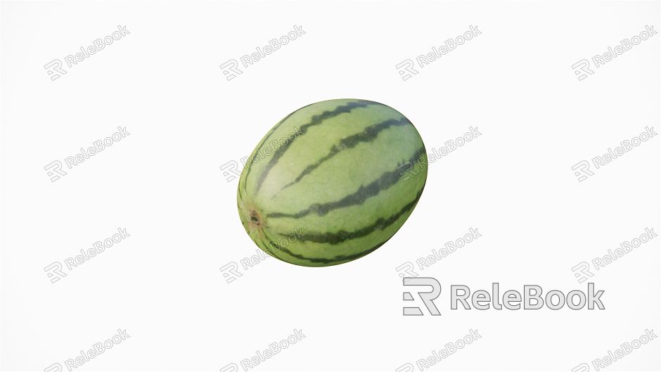 Modern Watermelon Watermelon Food Fruit model