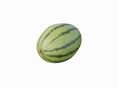 Fresh Juicy Watermelon with Green Stripes and Red Flesh Ideal Summer Fruit 3d model