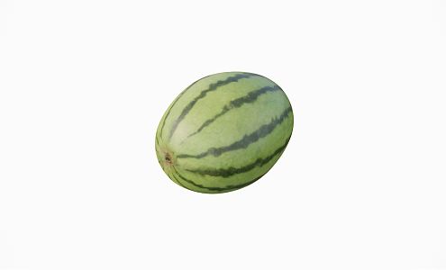 Modern Watermelon Food Fruit 3d model