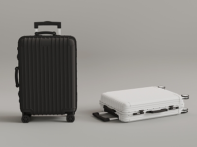 Modern Luggage Suitcase model