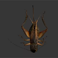 Detailed 3D Rendering of a Cricket with Antennae Legs and Exoskeleton Features
