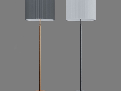 Simple Light Luxury Floor Lamp model