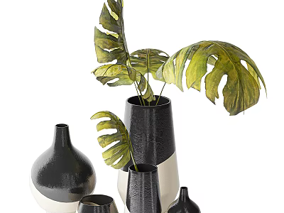Modern Black And White Vases With Monstera Leaves Decorative 3d model