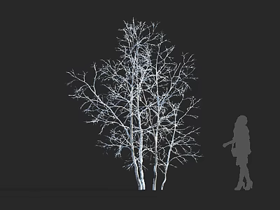 Bare Deciduous Tree with Silhouette of Person Against Black Background 3d model