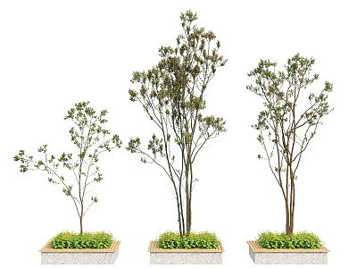 Decorative Tree Planters With Various Height Trees And Green Plant Base Design 3d model