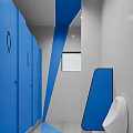 Modern Public Restroom With Blue Stall Doors Black Gender Symbols And White Walls