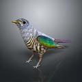Colorful Bird With Green Purple Feathers Striped Belly Yellow Beak and Large Eyes