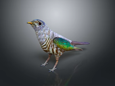 Colorful Bird With Green Purple Feathers Striped Belly Yellow Beak and Large Eyes 3d model