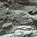 Natural Honeycomb Rock Formation With Unique Hole Patterns And Detailed Textures