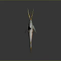 Fish Freshwater Fish Sea Fish Animal Game Animal Cartoon Animal Realistic Animal 3d model