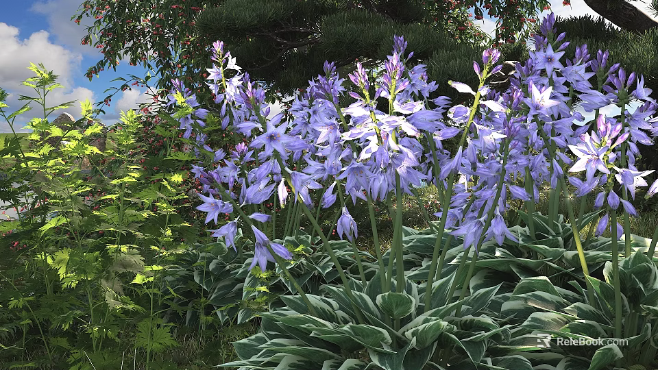 Stunning Purple Flowers Growing In Garden With Green Leaves And Lush Foliage 3d model 