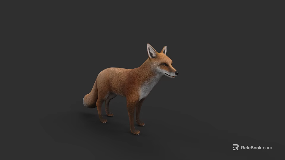 3D Rendered Red Fox With Brown And White Fur Standing On Dark Background 3d model 