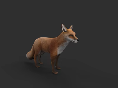 3D Rendered Red Fox With Brown And White Fur Standing On Dark Background 3d model