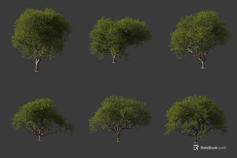 Various Shaped Arbor Trees in Different Design Variations on Gray Background 3d model