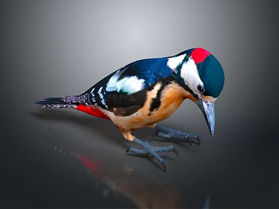 bird game animal cartoon animal realistic animal 3d model